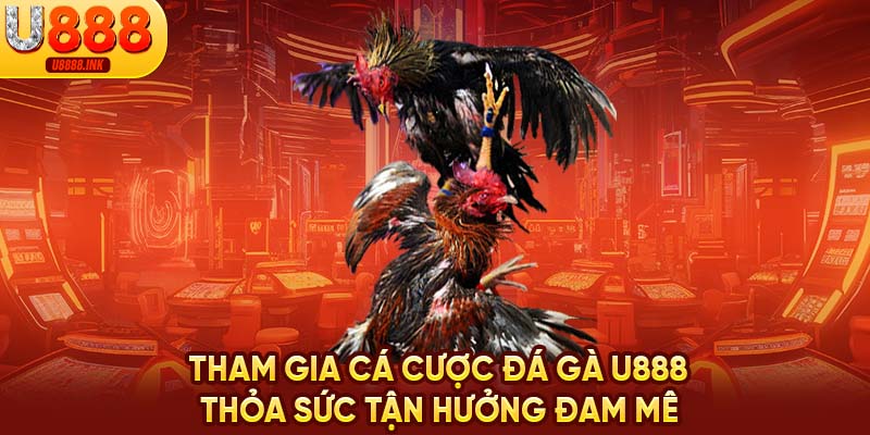 Đá Gà U888 | Cá Cược An Toàn, Chinh Phục Giải Thưởng Lớn 7 Tham gia cá cược đá gà U888 thỏa sức tận hưởng đam mê
