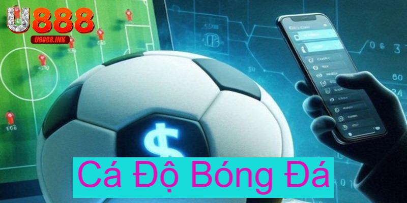 Cá Độ Bóng Đá: Đôi Điều Quan Trọng Cần Biết Cho Tân Thủ 2 ca do bong da 0