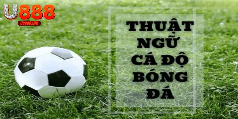 99+ Thuật Ngữ Cá Độ Bóng Đá Cơ Bản Thường Gặp 3 thuat ngu ca do bong da 0