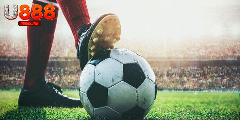 99+ Thuật Ngữ Cá Độ Bóng Đá Cơ Bản Thường Gặp 6 Người chơi cần nắm rõ các thuật ngữ cá độ bóng đá để đặt kèo hiệu quả